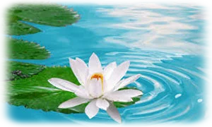 vízvizsgálat gázvizsgálat